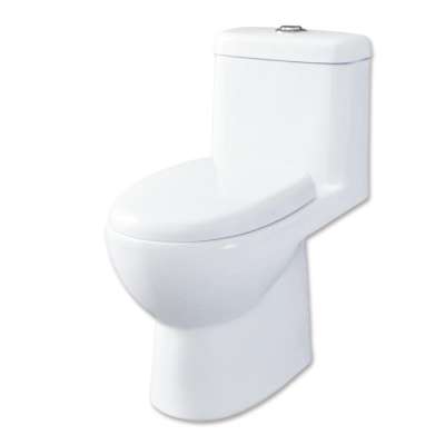 Dual Flush Water Saving High Quality Bathroom Ceramic S Trap WC Toilet