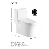 C6728 New product 2017 Hot Sale bathroom design wc toilet one piece toilet