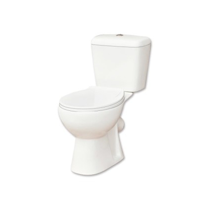 China Sanitary Ware Dual Flush WC P-Trap Toilet